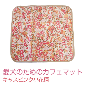 キャスピンク