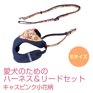 キャスピンク